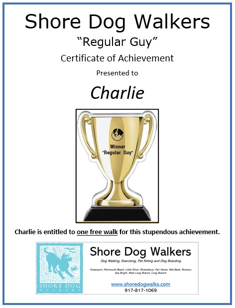 Regular Guy - Shore Dog Walkers Sea Bright