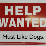 Shore Dog Walkers Help Wanted