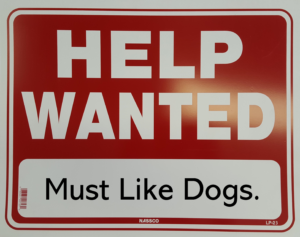 Shore Dog Walkers Help Wanted