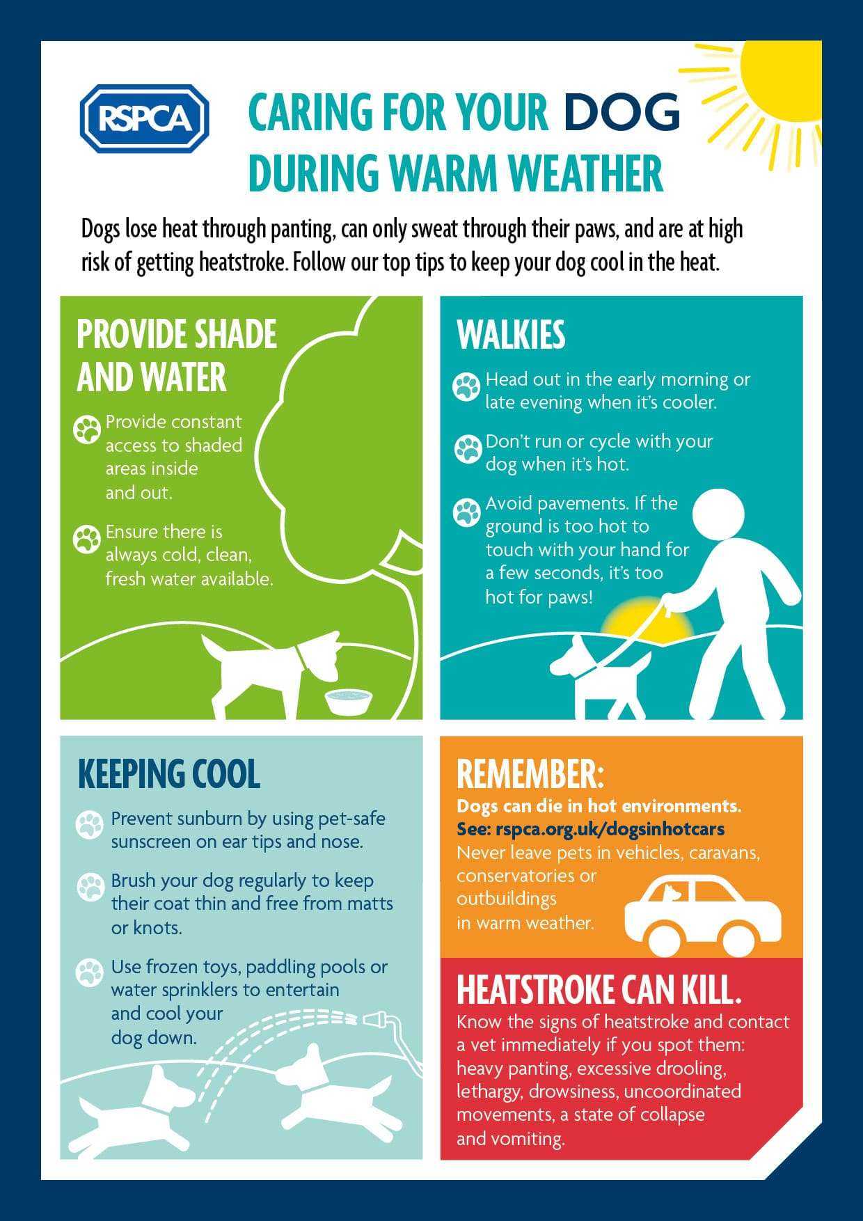 Shore Dog Walkers - Heat exhaustion